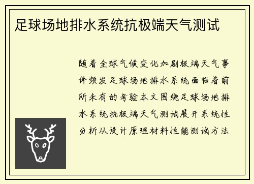 足球场地排水系统抗极端天气测试